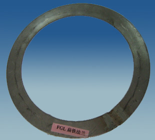 FGL Round Flat Ring Flange